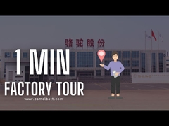 Descubra la fábrica de plomo más grande de la batería del coche de Asia en apenas 1 minuto