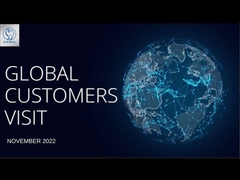 Visita 2022 del cliente del grupo del camello global